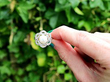 Pearl Ring with Diamonds