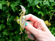 Vintage Yellow Gold Bird Brooch
