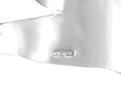 Silver Nef