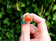 Antique Cufflinks 