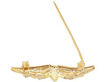 Brooch opening image