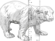Silver Bear Sugar Box