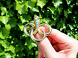 Snake Brooch Outdoors