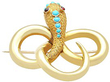 Full View of Snake Brooch