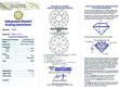 Antique Circular Diamond Earrings Certificate