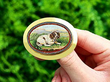 Antique Micro Mosaic Brooch