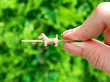 Antique Gold Bar Brooch Dog