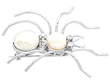 Antique Spider Brooch