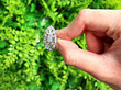 Marquise Diamond Ring