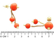 Antique Coral Drop Earrings