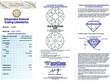 Mother of Pearl Necklace Certificate