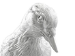 Sterling Silver Presentation Birds UK