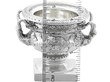 Miniature Silver Warwick Vase