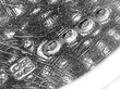 Antique Nutmeg Grater in Silver