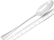 Georgian Silver Serving Spoon