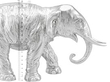 Large Sterling Silver Elephant Box