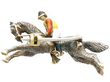 Antique Brooch