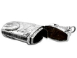 Deakin and Francis Silver Vesta Case