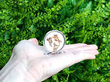 Antique Menu Holders Dog Related