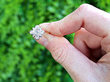 Edwardian Diamond Ring Yellow Gold