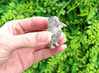 Edwardian Silver Pepperettes Outside