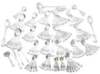 Albert Pattern Canteen of Cutlery 
