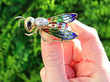 Vintage Bug Brooch with Gemstones Outside 