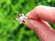 Edwardian Pearl Ring with Rubies