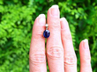 Blue Sapphire Oval Earrings Outside 