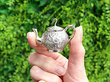 Miniature Silver Tea Set Outside