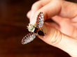 Garnet Brooch