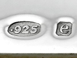 Hallmarked Antique Enamel and Sterling Silver Vesta Case