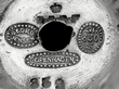 Georg Jensen Candle Holders Hallmarks