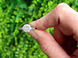 D Coloured Diamond Solitaire Ring outside