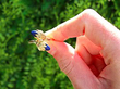 Lapis Lazuli Yellow Gold Ring