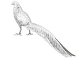 Large Silver Pheasant Sugar Boxes 
