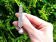 Multi Strand Diamond Drop Earrings with Pearls