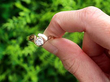 Unusual Diamond Solitaire Ring for Sale