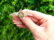 Gold RAF Wings Brooch with Emeralds for Sale Outside
