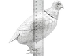antique partridge sugar box in silver size
