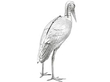 Large Antique Silver Stork Sugar Box UK