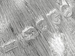 silver cockerel sugar box for sale hallmarks