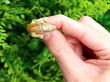 Vintage Gold Crocodile Ring for Sale