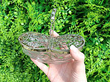 Antique Glass Pot Pourri Basket Outside