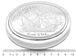 Antique Tobacco Box in Silver