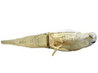 Sterling Silver Bird Pepper Shakers