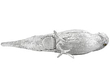Sterling Silver Bird Pepper Shakers