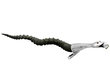 Edwardian Table Lighter Snake