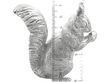 Sterling Silver Squirrel Ornament