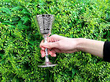 Sterling Silver Goblets Set of 6